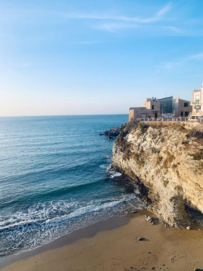 Hotel Le Lanterne Di Terrasini Zewnętrze zdjęcie